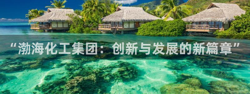 球盟会里面有打牌的嘛知乎