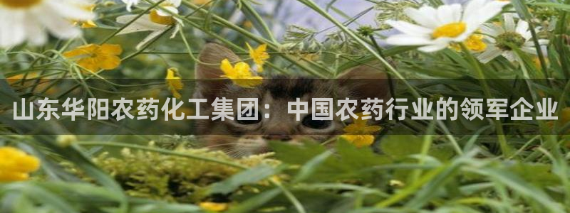 球盟会官网登录入口：山东华阳农药化工集团：中国农药行业的领军