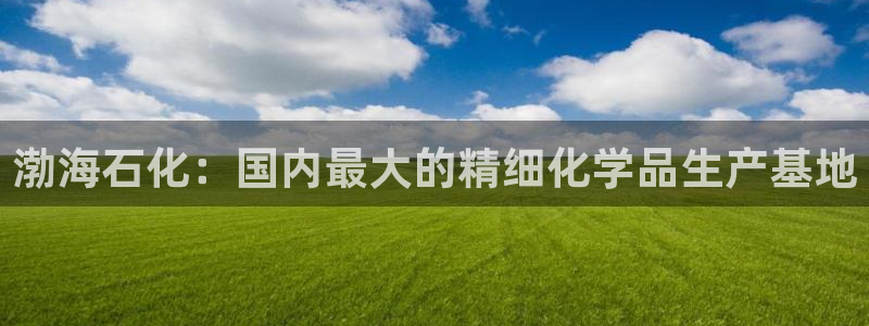 球盟会封号：渤海石化：国内最大的精细化学品生产基地