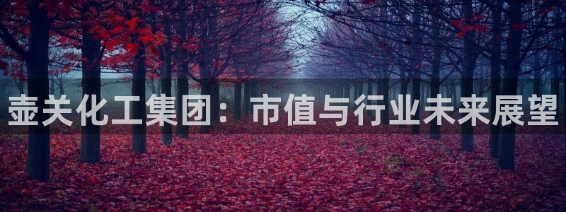 球盟会App：壶关化工集团：市值与行业未来展望