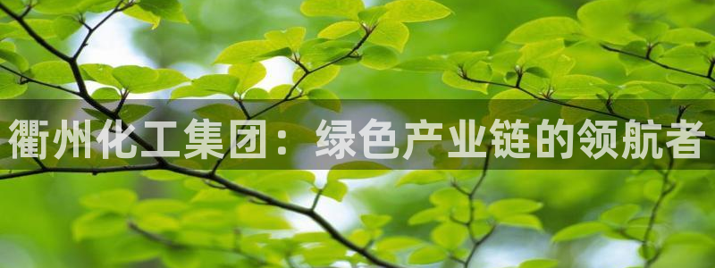 球盟会qmh网页版登录：衢州化工集团：绿色产业链的领航者