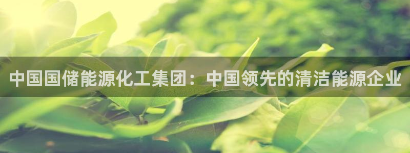球盟会网页登录