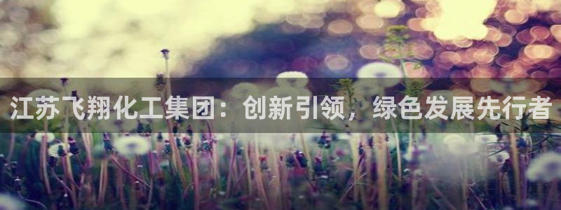 球盟会中国官方网站：江苏飞翔化工集团：创