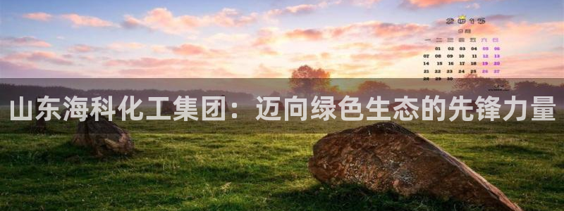 球盟会app最新地址在哪里：山东海科化工集团：迈向绿色生态的
