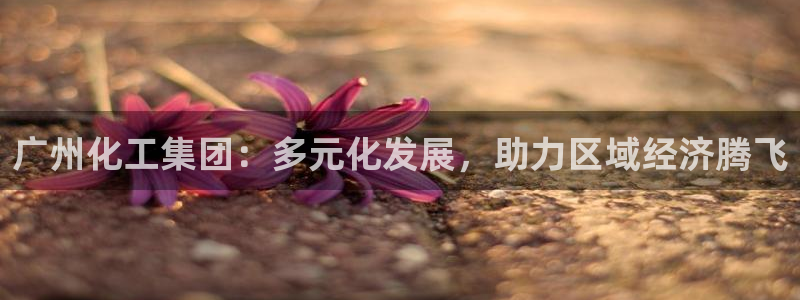 球盟会官方网站app：广州化工集团：多元化发展，助力区域经济