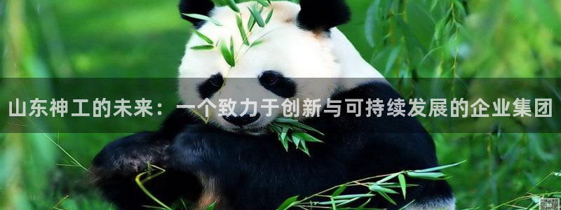 球盟会登录网址：山东神工的未来：一个致力