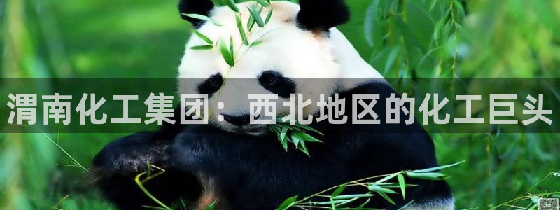 球盟会官方最新入口