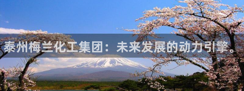 球盟会能退钱吗：泰州梅兰化工集团：未来发
