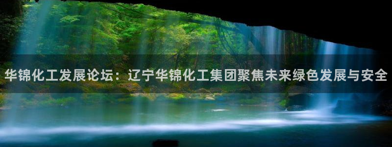 球盟会官方网入口：华锦化工发展论坛：辽宁