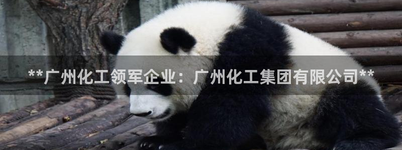 球盟会app网址多少：**广州化工领军企