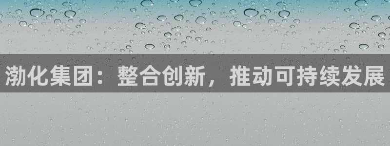 球盟会官网网页版：渤化集团：整合创新，推
