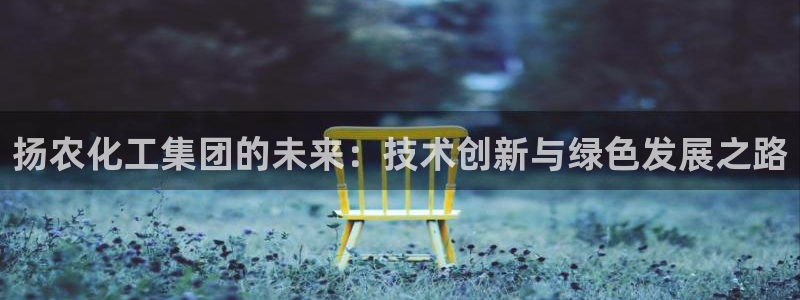 球盟会封号：扬农化工集团的未来：技术创新