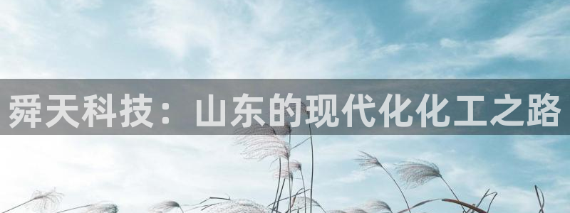 球盟会里面有打牌的嘛是真的吗：舜天科技：山东的现代化化工之路