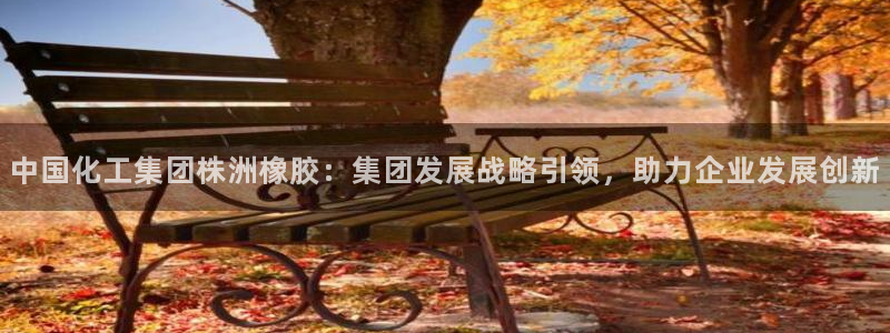 球盟会qmh登录地址：中国化工集团株洲橡