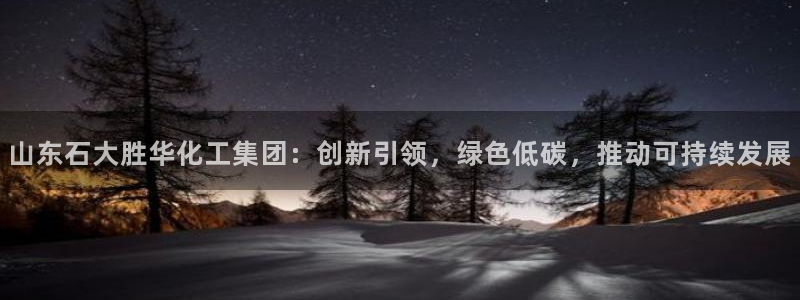 球盟会娱乐平台：山东石大胜华化工集团：创