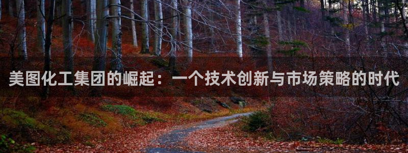 球盟会综合体育平台怎么样：美图化工集团的