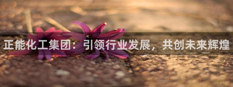 球盟会登录入口：正能化工集团：引领行业发