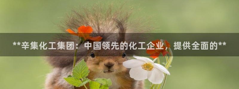 球盟会登陆中心：**辛集化工集团：中国领
