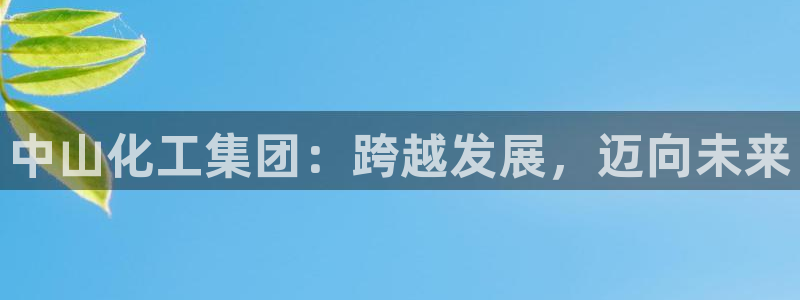 球盟会app最新地址在哪：中山化工集团：