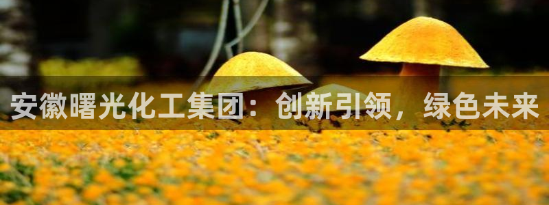 球盟会下载最新版：安徽曙光化工集团：创新引领，绿色未来