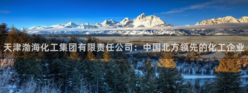 球盟会登陆入口：天津渤海化工集团有限责任公司：中国北方领先的