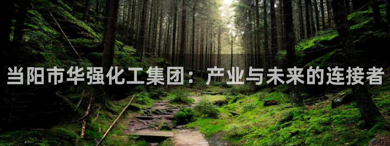 球盟会能退钱吗：当阳市华强化工集团：产业