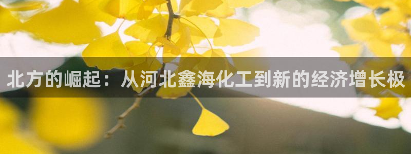 球盟会qmh登录地址：北方的崛起：从河北