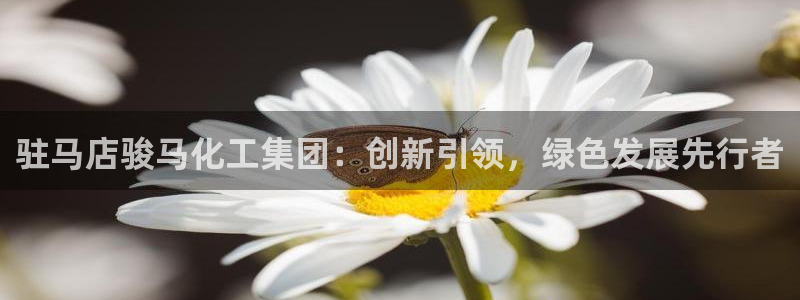 球盟会电子游戏平台：驻马店骏马化工集团：创新引领，绿色发展先