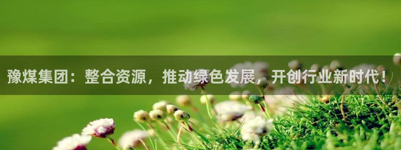 球盟会能提现吗：豫煤集团：整合资源，推动绿色发展，开创行业新
