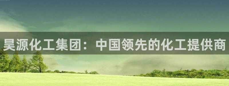 球盟会连接：昊源化工集团：中国领先的化工提供商