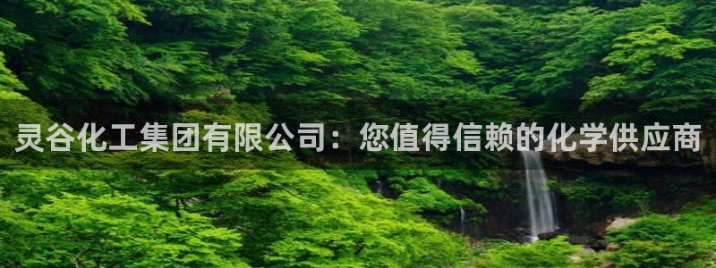 球盟会官方网址入口：灵谷化工集团有限公司：您值得信赖的化学供