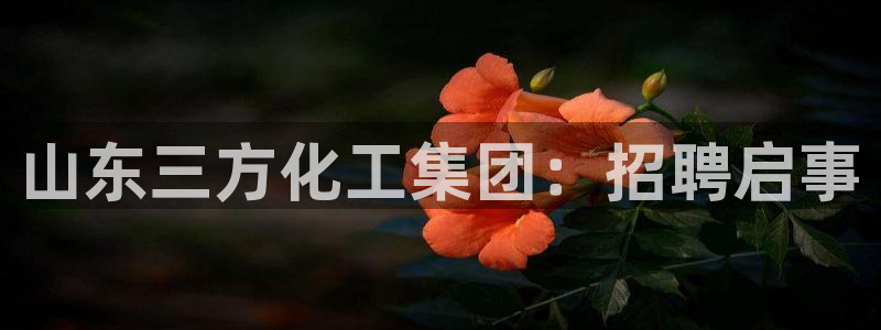 球盟会qmh登录地址：山东三方化工集团：招聘启事