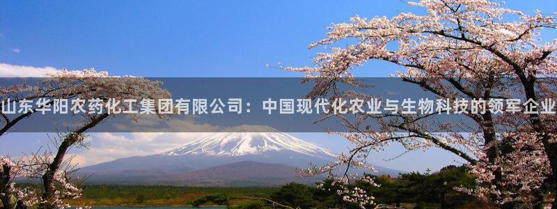 球盟会黑款吗知乎文章：山东华阳农药化工集