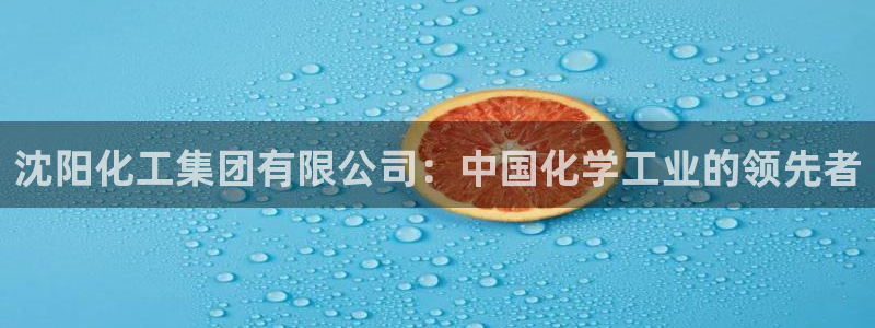 球盟会APP下载：沈阳化工集团有限公司：